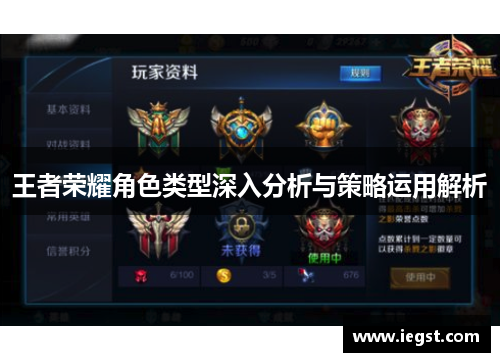 王者荣耀角色类型深入分析与策略运用解析
