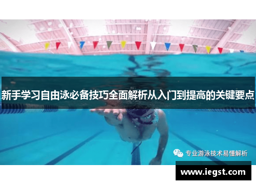 新手学习自由泳必备技巧全面解析从入门到提高的关键要点