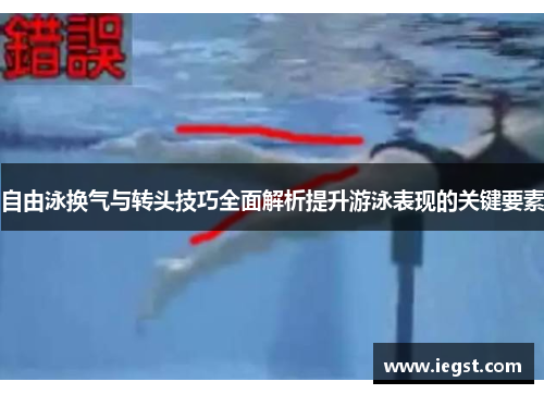 自由泳换气与转头技巧全面解析提升游泳表现的关键要素