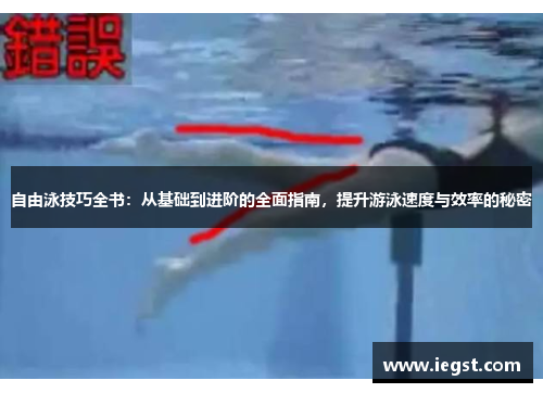 自由泳技巧全书：从基础到进阶的全面指南，提升游泳速度与效率的秘密