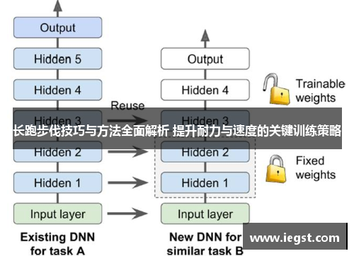 长跑步伐技巧与方法全面解析 提升耐力与速度的关键训练策略